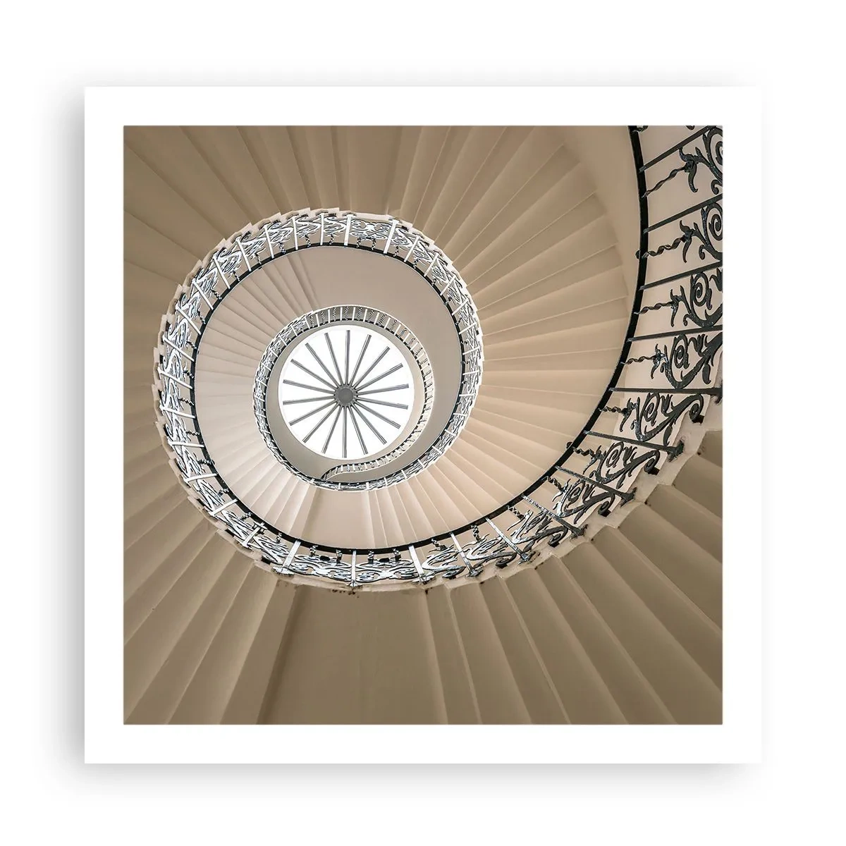 Plakat - W środku muszli - 60x60 cm