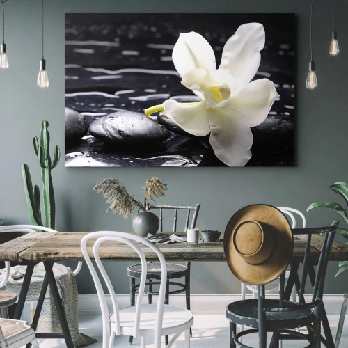Obraz na płótnie - Studium w czerni i bieli - Biała orchidea na tle czarnych kamieni i wody - 70x50cm