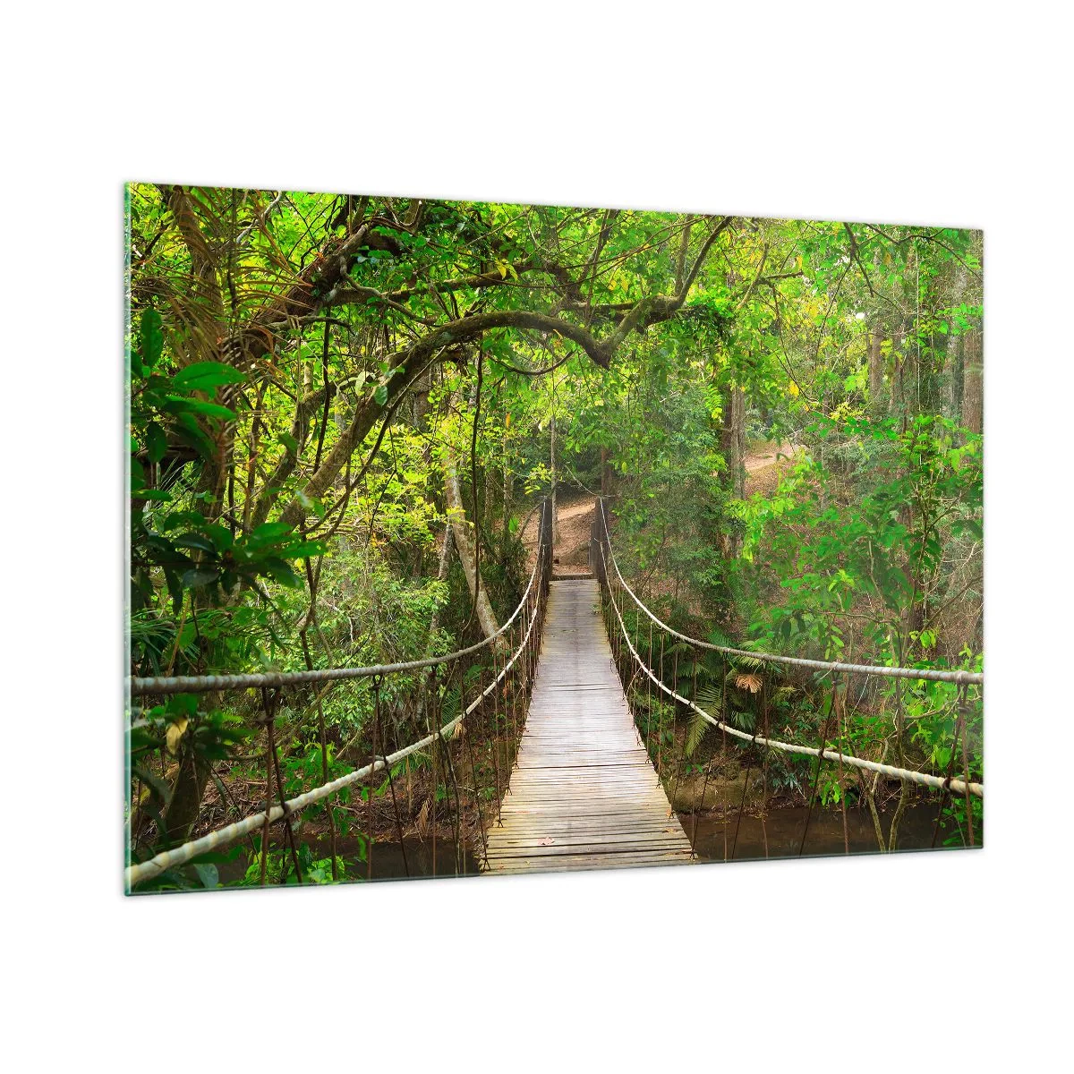 Obraz na szkle - Wiszący most w tropikalnym lesie - 100x70cm - Bo w ogrodzie rośnie pnącze - Nowoczesna dekoracja ścienna do salonu, kuchni i sypialni ARTTOR
