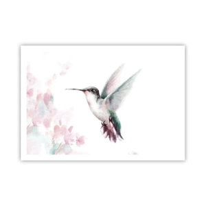 Plakat - Koliber w delikatnych pastelowych barwach na tle kwiatów - 100x70cm - Zatrzymany w trzepocie - Nowoczesna dekoracja ścienna do salonu i sypialni ARTTOR