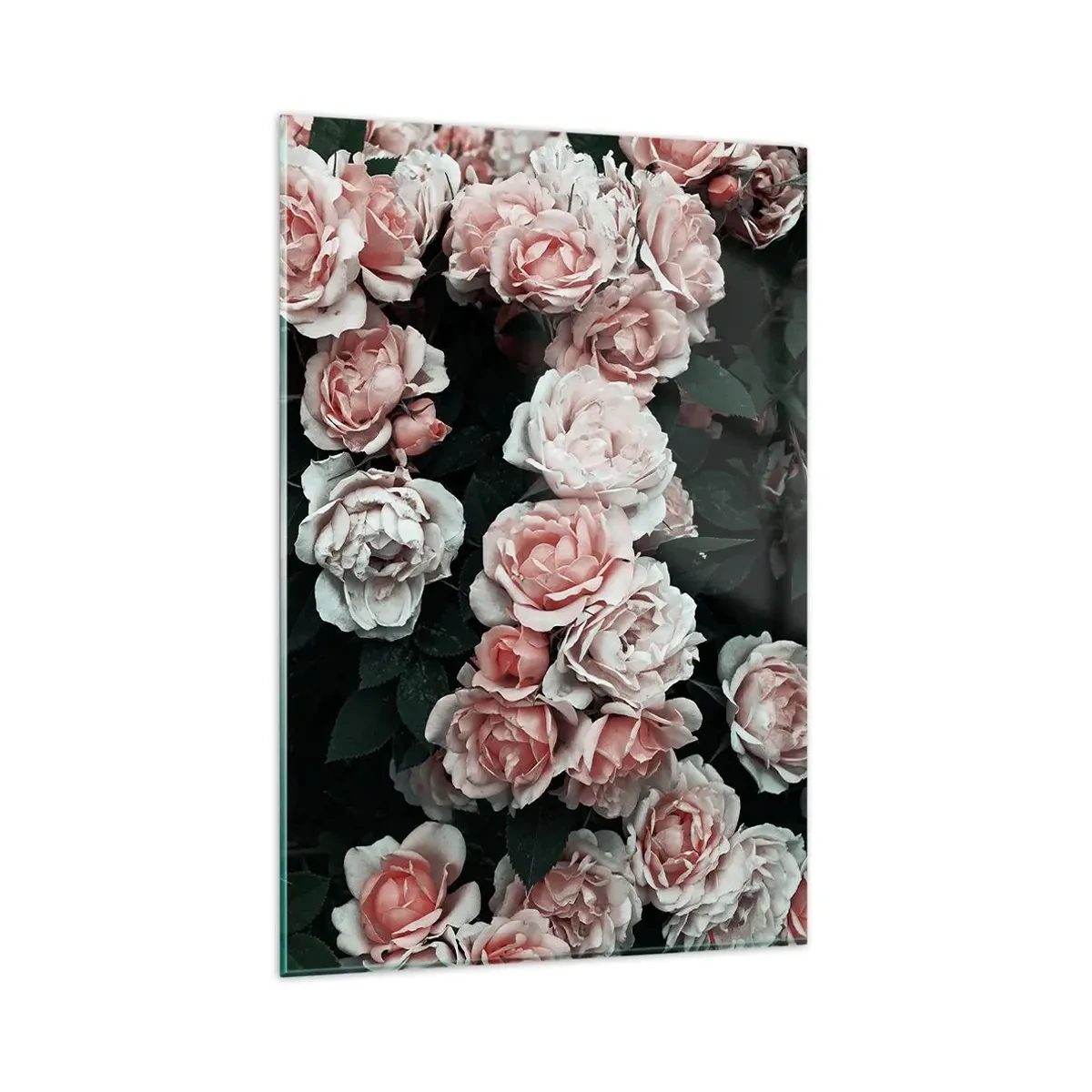 Obraz na szkle - Różowe róże na ciemnym tle w subtelnej kompozycji - 80x120cm - Różany ansamble - Nowoczesna dekoracja ścienna do salonu i sypialni ARTTOR