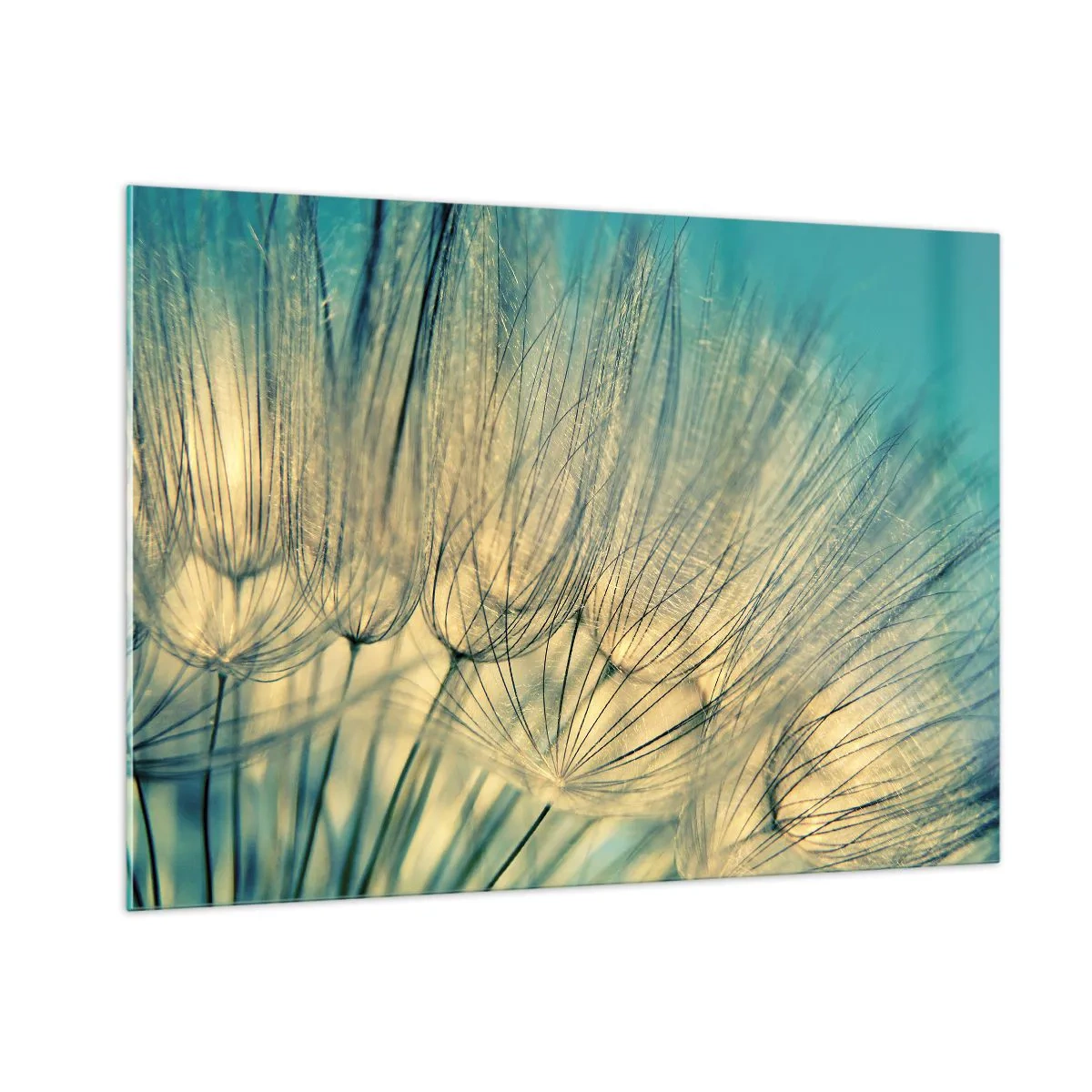 Obraz na szkle - Makrofotografia dmuchawca na turkusowym tle - 100x70cm - W oczekiwaniu na wiatr - Nowoczesna dekoracja ścienna do salonu, kuchni i sypialni ARTTOR