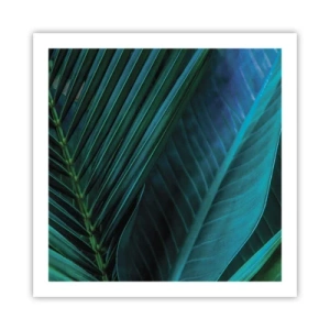 Plakat - Anatomia zieleni - 60x60 cm