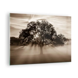 Obraz na szkle - Drzewo w porannej mgle z promieniami słońca przebijającymi przez gałęzie - 70x50cm - Drzewo wiadomości samego dobrego - Nowoczesna dekoracja ścienna do salonu i sypialni ARTTOR