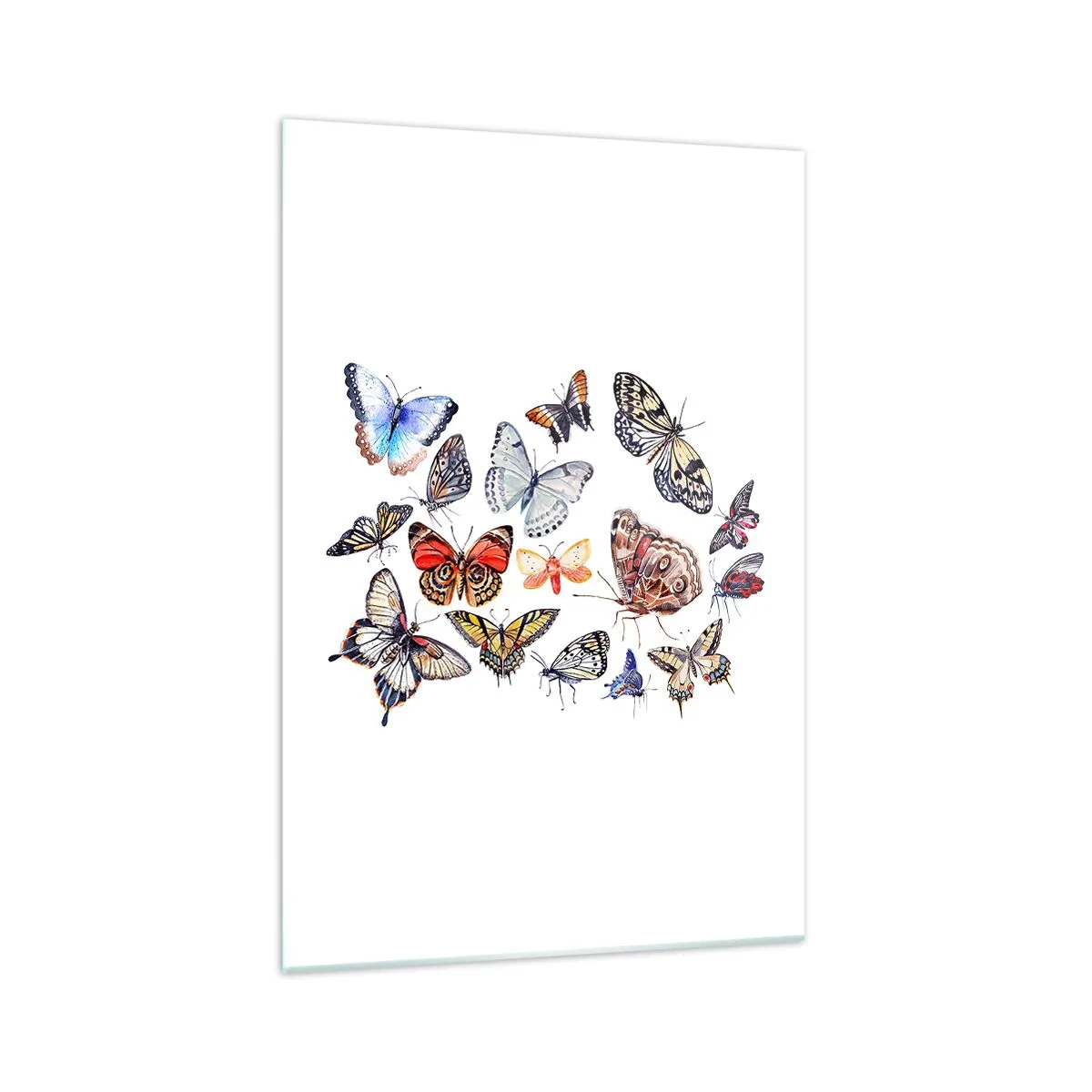 Obraz na szkle - Kolorowe motyle na białym tle - 70x100cm - Koronkowy, barwny rój - Nowoczesna dekoracja ścienna do salonu i sypialni ARTTOR