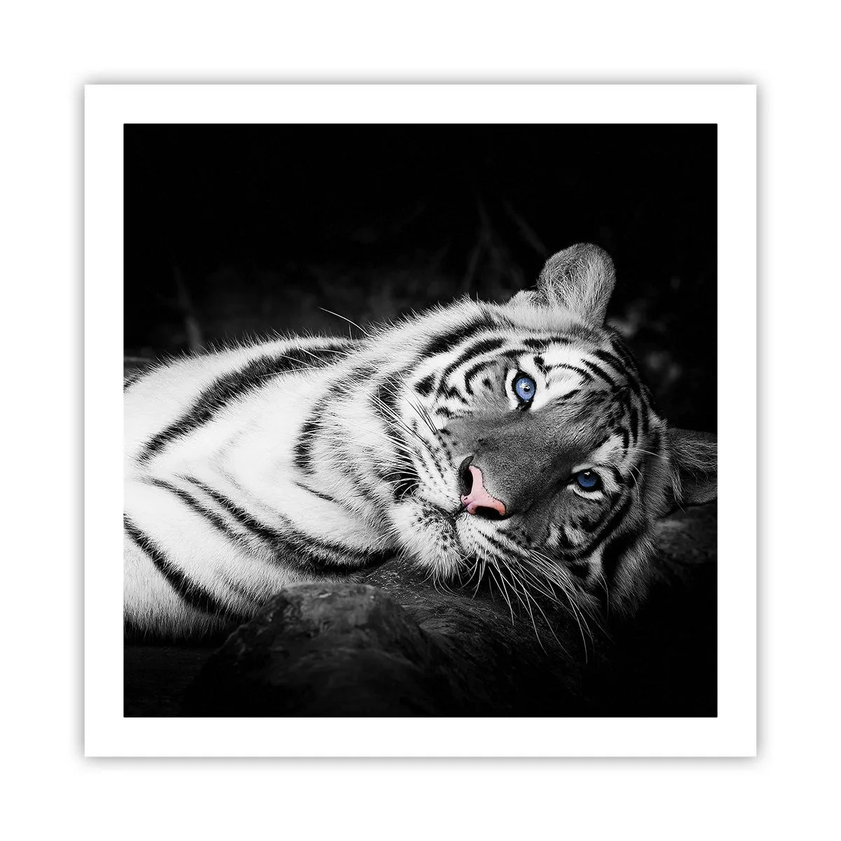 Plakat - Dzikość i spokój - 60x60 cm