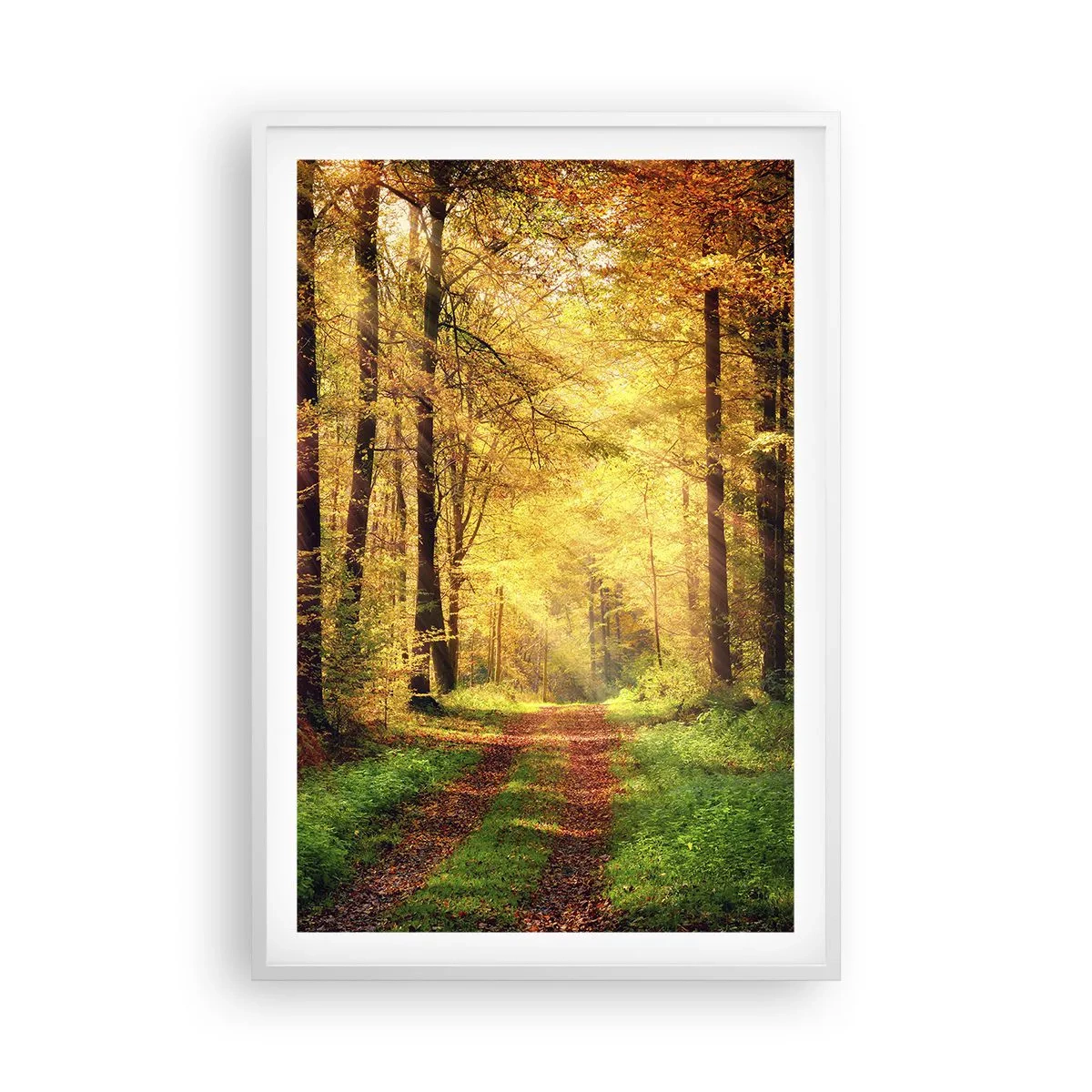Plakat w białej ramie - Leśno-złota cisza - 61x91 cm