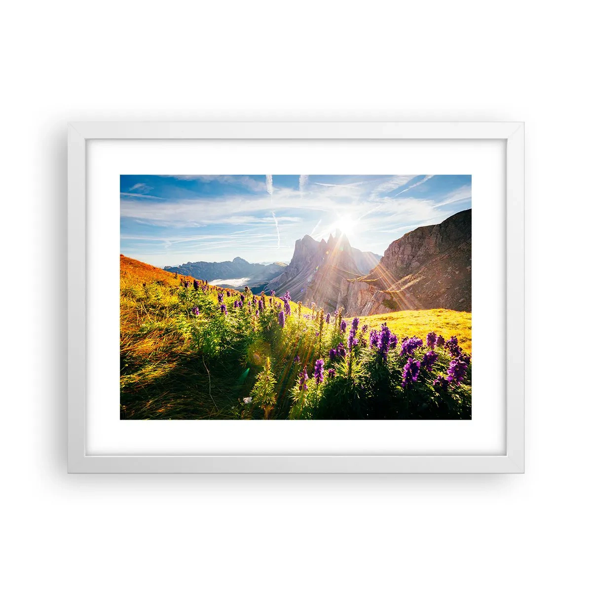 Plakat w białej ramie - Sekretne życie ziół - 40x30 cm