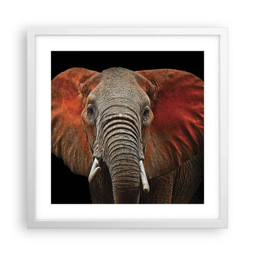 Plakat w białej ramie - Jestem dziki, a ty? - 40x40 cm