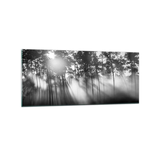 Obraz na szkle - Czarno-biały las w porannej mgle - 120x50cm - Niepowstrzymane słońce - Nowoczesna dekoracja ścienna do salonu i sypialni ARTTOR