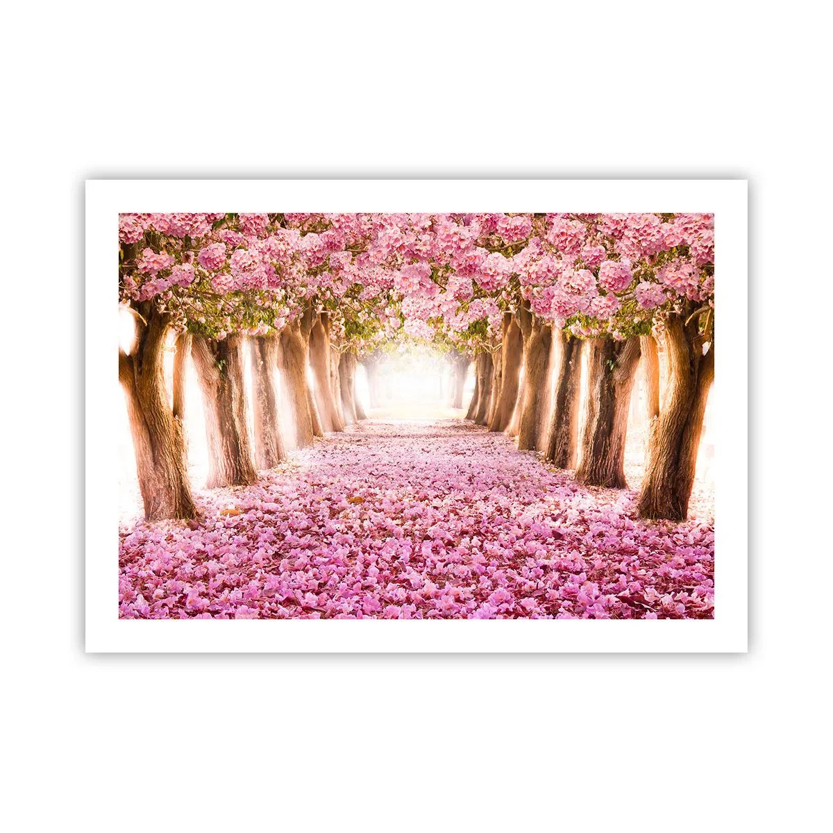 Plakat - Droga do raju - 70x50 cm