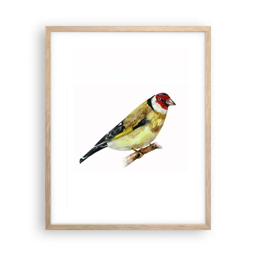 Plakat w ramie jasny dąb - Ptasi portret - 40x50 cm