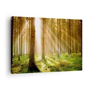 Obraz na płótnie - Las iglasty z promieniami słońca przebijającymi przez drzewa - 70x50cm - Zaraz pojawią się elfy - Nowoczesna dekoracja ścienna do salonu i sypialni ARTTOR