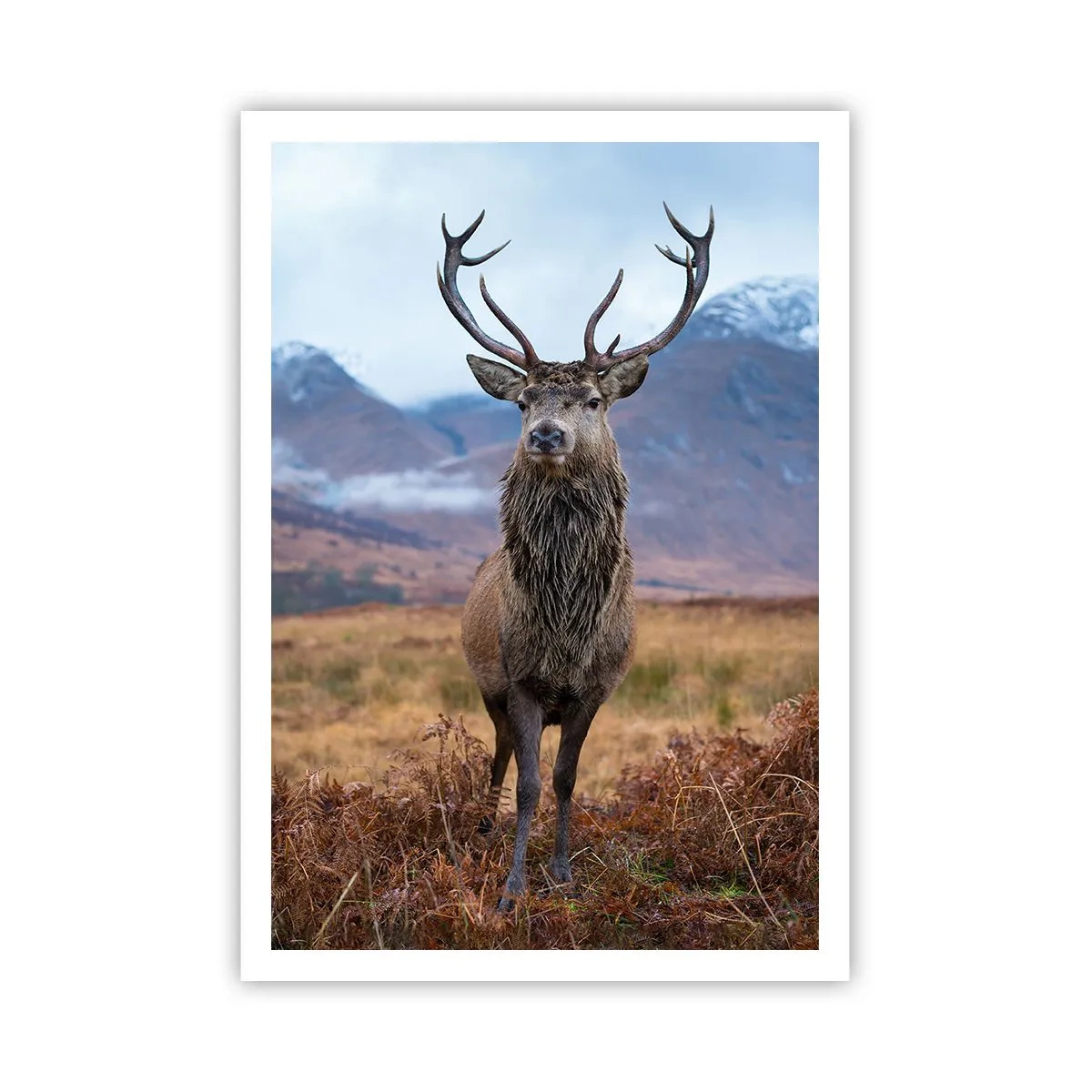 Plakat - Na własnej ziemi - 70x100 cm