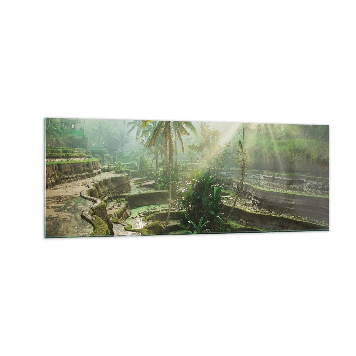 Obraz na szkle - Tarasy ryżowe z palmami w promieniach słońca - 140x50cm - Dorastać w słońcu - Nowoczesna dekoracja ścienna do salonu i sypialni ARTTOR