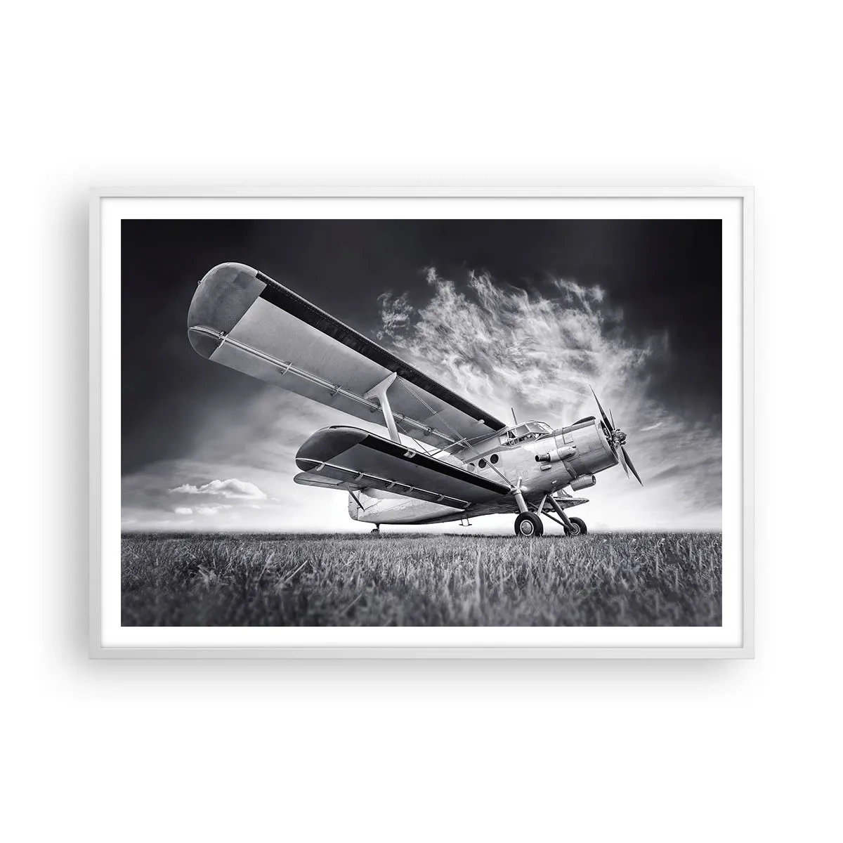 Plakat w białej ramie - Skrzydlaty wędrowiec - 100x70 cm