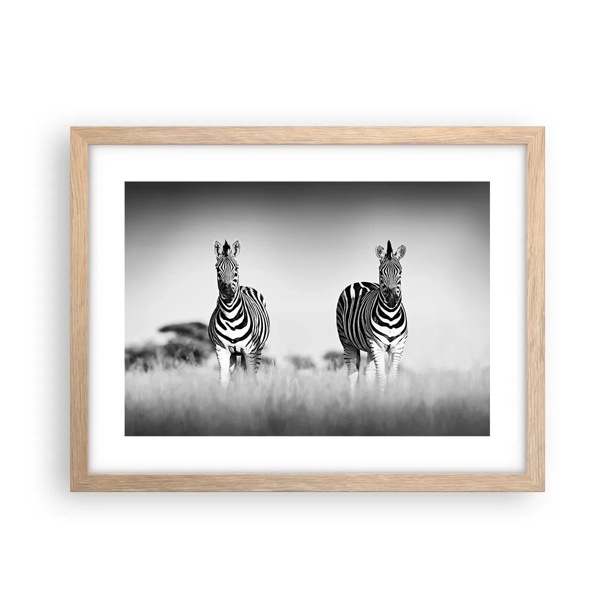 Plakat w ramie jasny dąb - A jednak świat jest czarno-biały - 40x30 cm