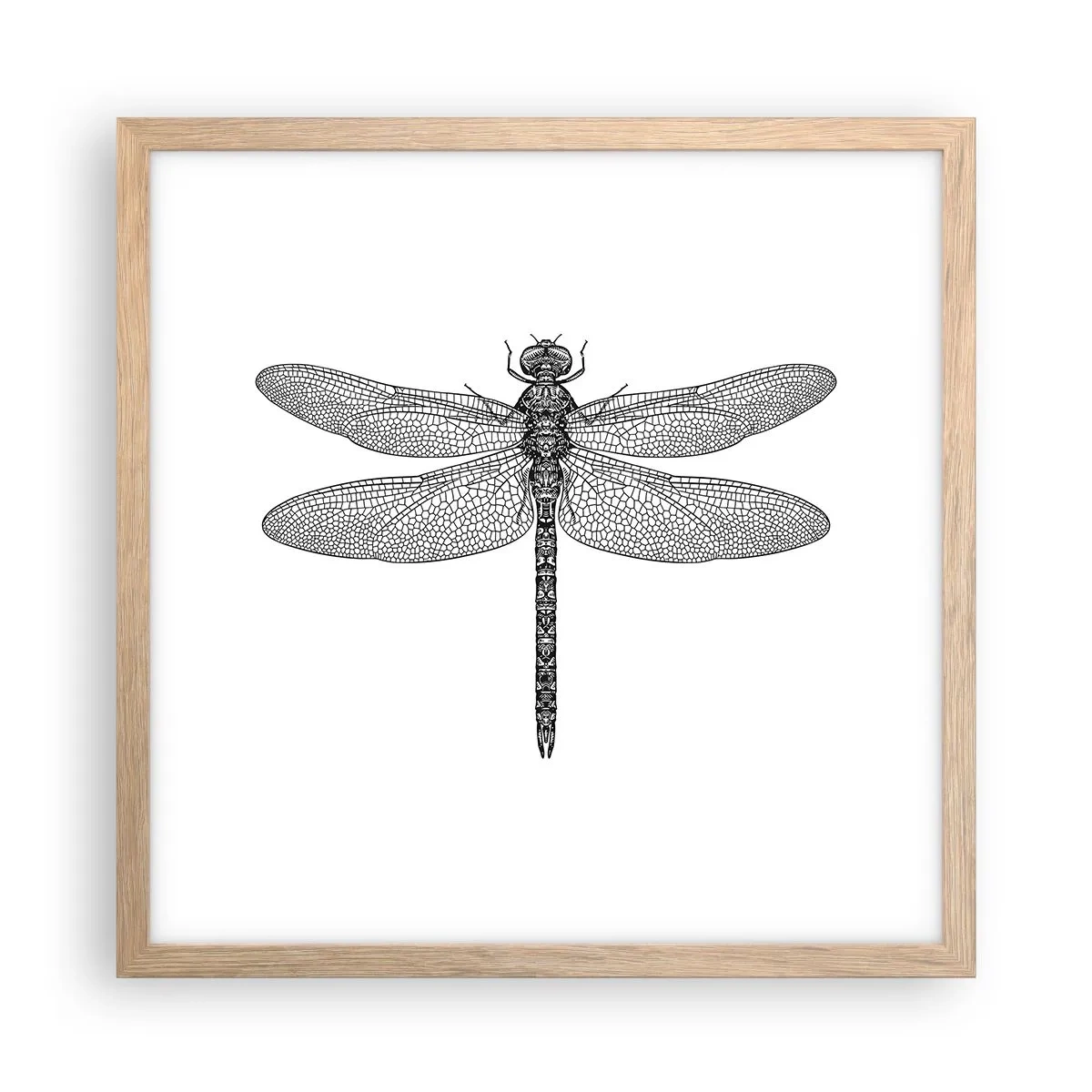 Plakat w ramie jasny dąb - Precyzja natury - 40x40 cm