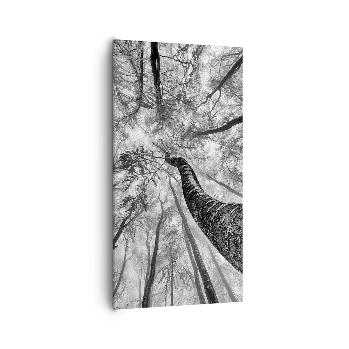 Obraz na płótnie - Wyścig do światła - 65x120 cm