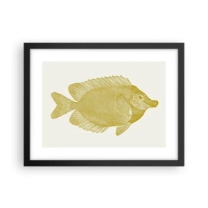 Plakat w czarnej ramie - Ryba i tyle - 40x30 cm