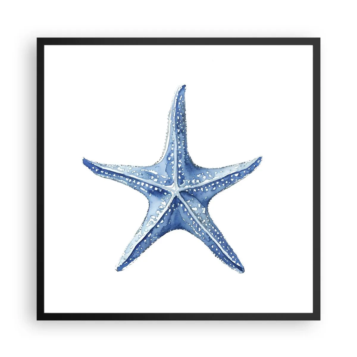 Plakat w czarnej ramie - Gwiazda morza - 60x60 cm