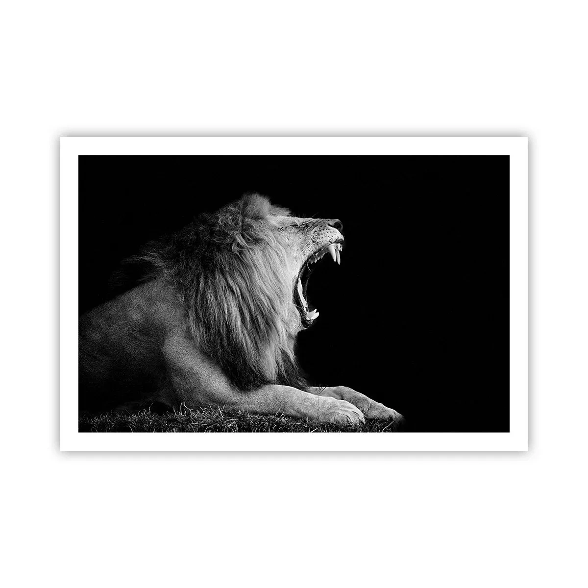 Plakat - Bez żadnych wątpliwości - 91x61 cm