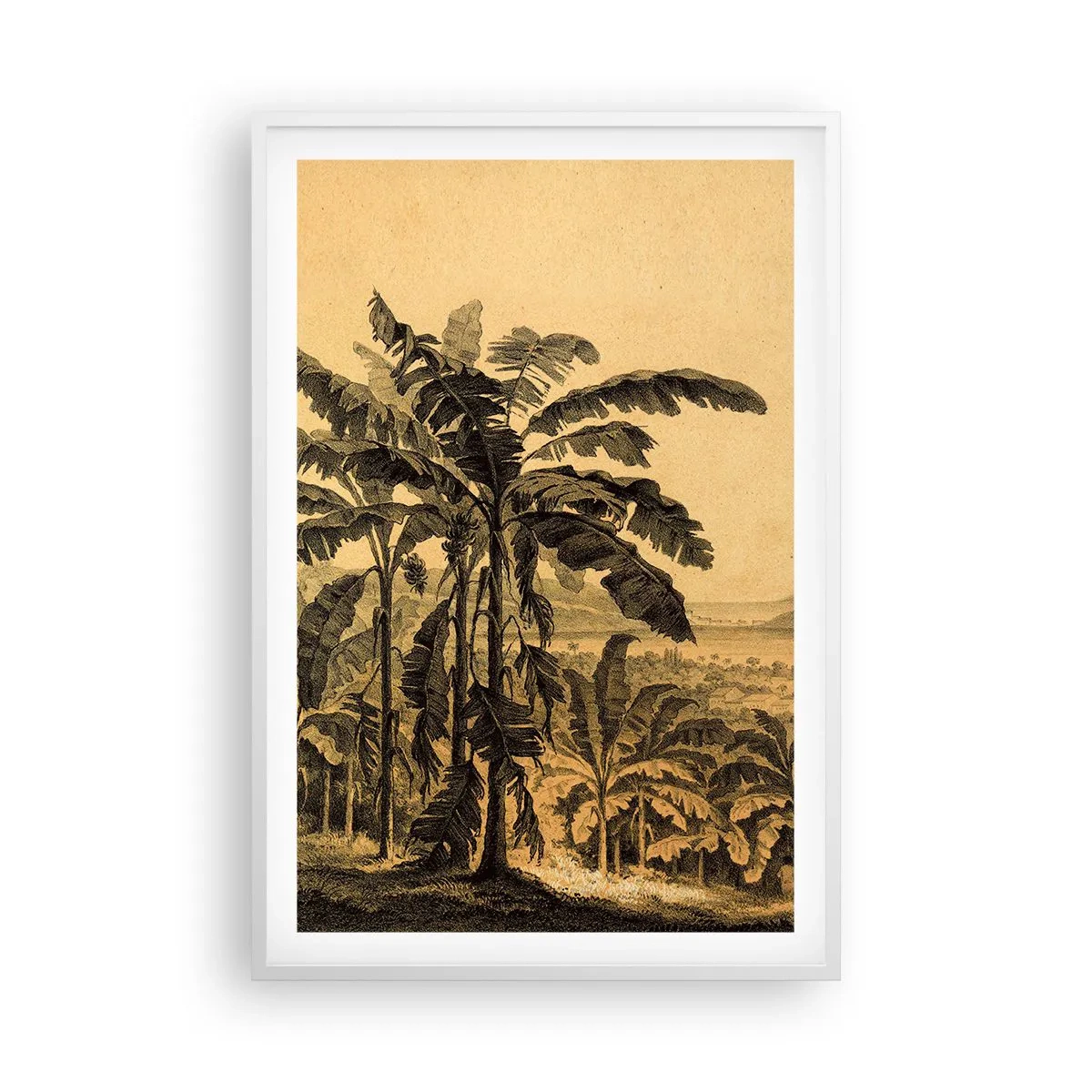 Plakat w białej ramie - w kolonialnym klimacie - 61x91 cm