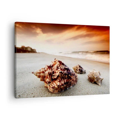 Obraz na płótnie - Muszle na plaży o zachodzie słońca - 70x50cm - Wygnanki fal - Nowoczesna dekoracja ścienna do salonu i sypialni ARTTOR