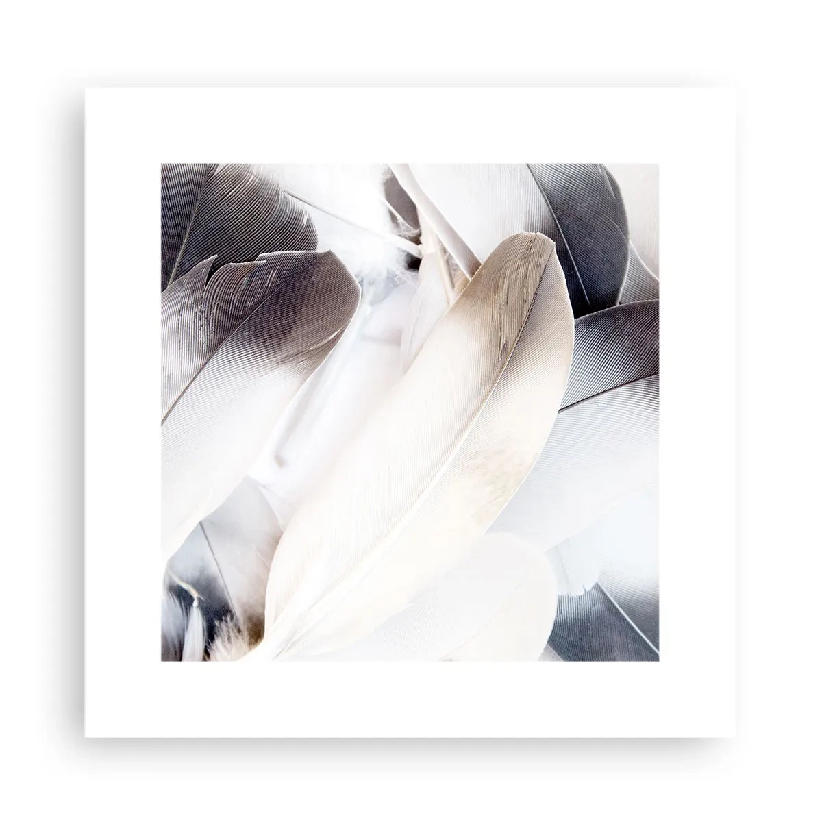 Plakat - Niemal anielskie - 30x30 cm
