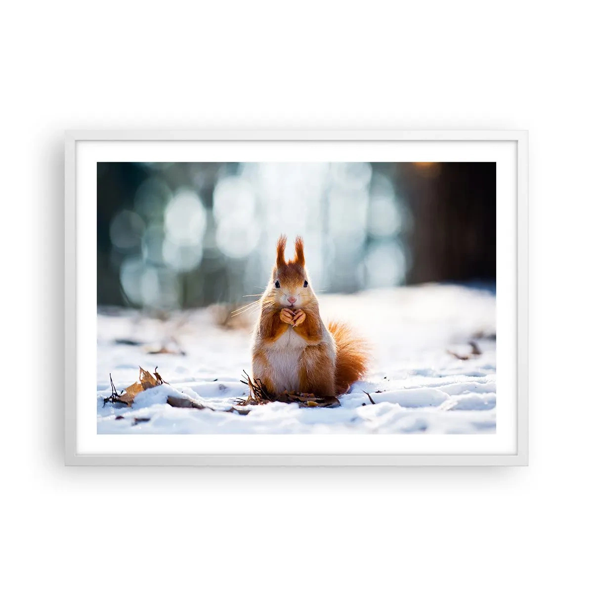 Plakat w białej ramie - I co tak patrzysz? - 70x50 cm