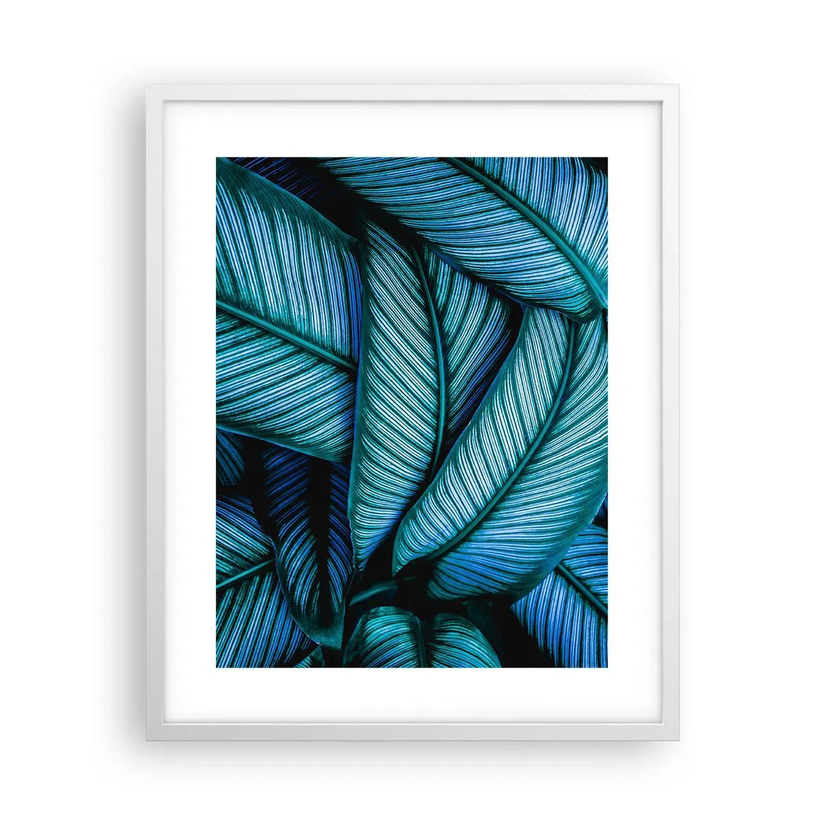 Plakat w białej ramie - Linie życia - 40x50 cm