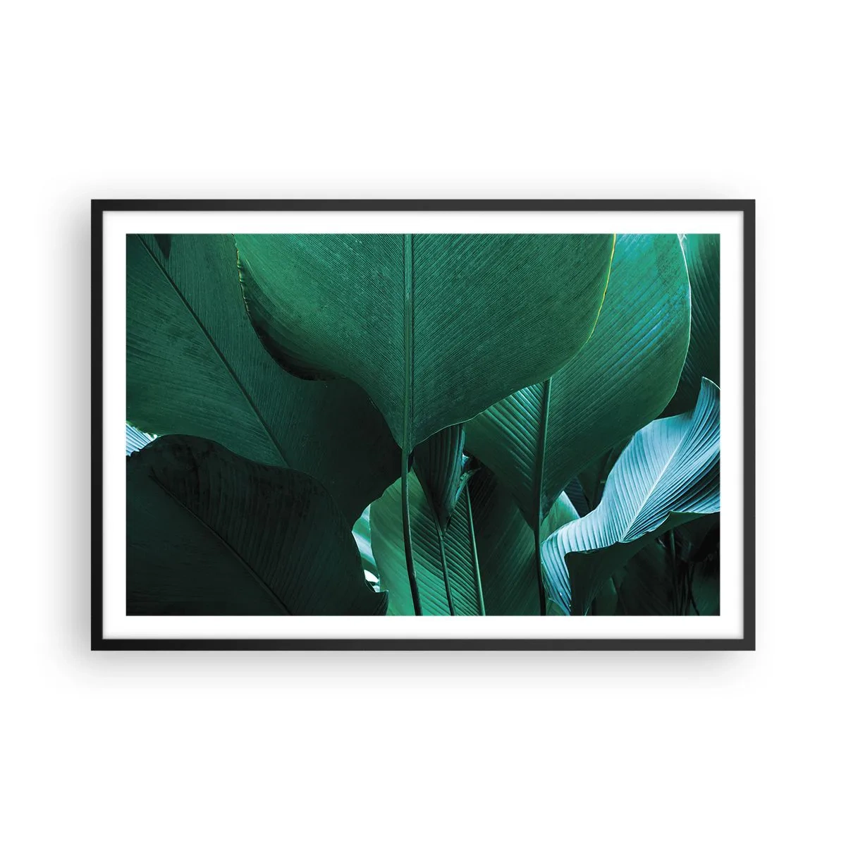 Plakat w czarnej ramie - Zwrócone do światła - 91x61 cm