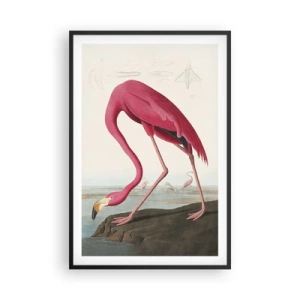 Plakat w czarnej ramie - Zadziwiające stworzenie - 61x91 cm