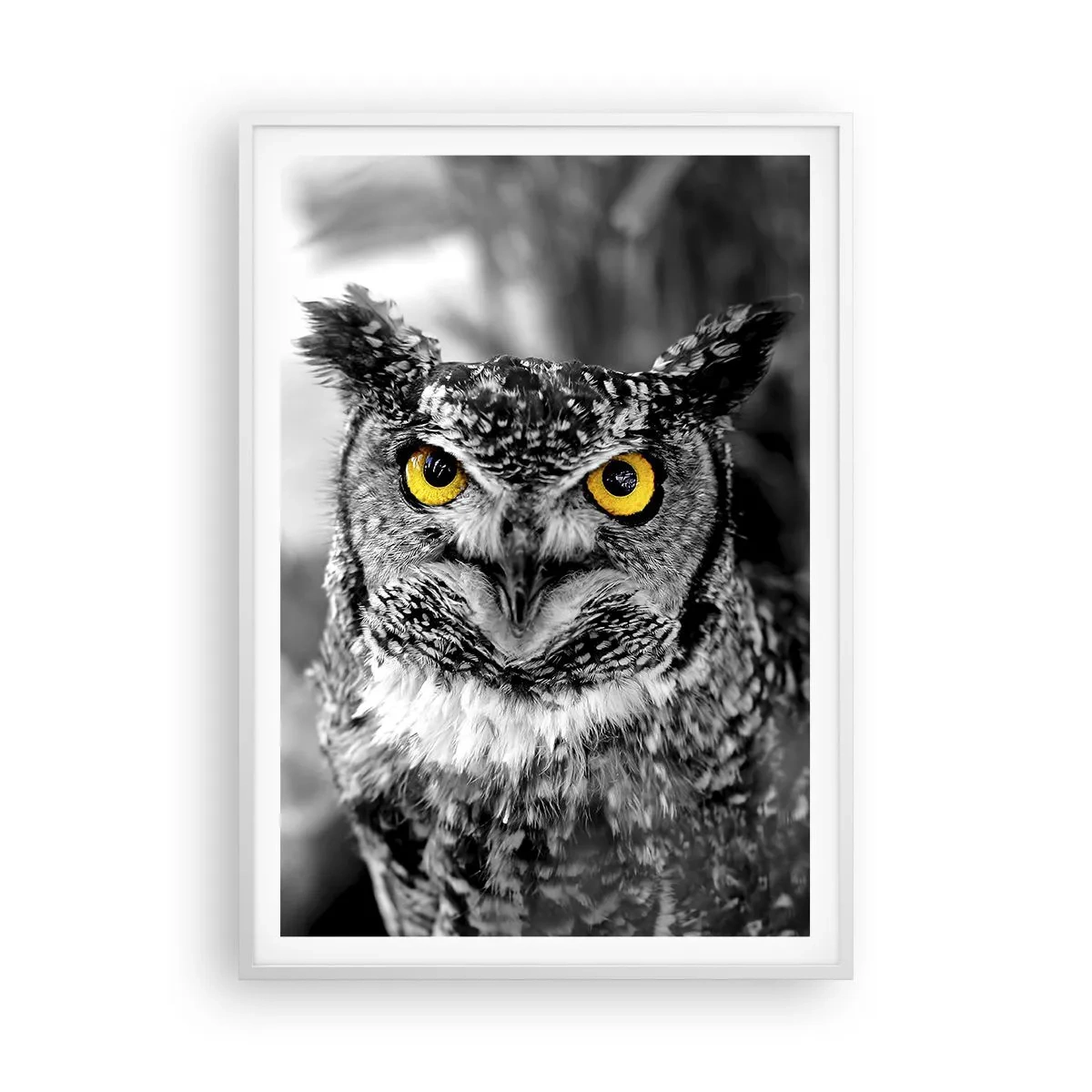 Plakat w białej ramie - Nic się nie ukryje - 70x100 cm