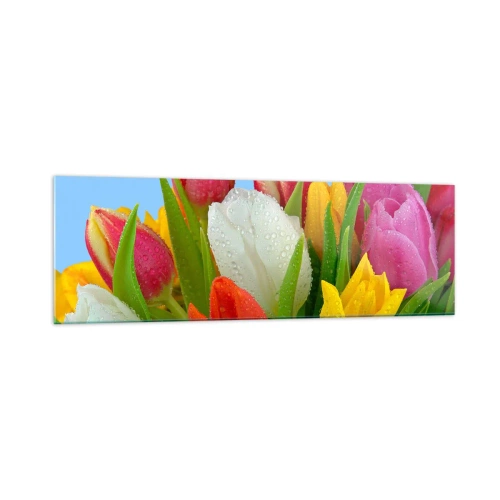 Obraz na szkle - Kolorowe tulipany pokryte kroplami rosy na błękitnym tle - 160x50cm - Kwiatowa tęcza w kroplach rosy - Nowoczesna dekoracja ścienna do salonu i sypialni ARTTOR