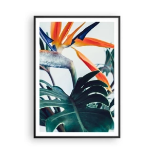 Plakat w czarnej ramie - Ptakokrzak - 70x100 cm