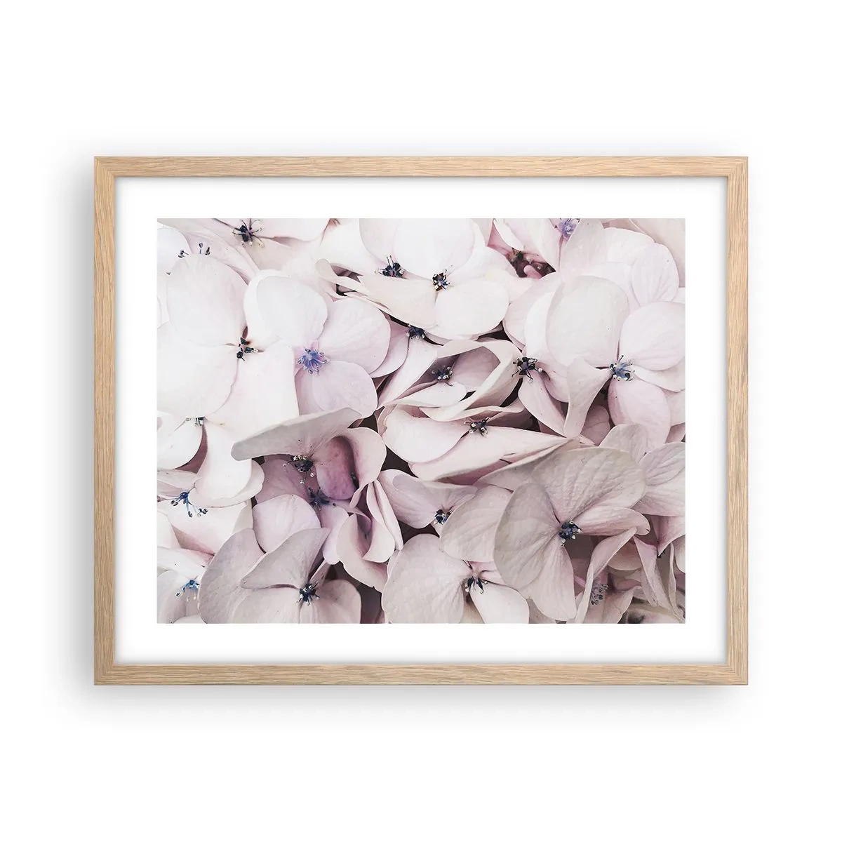 Plakat w ramie jasny dąb - W powodzi kwiatów - 50x40 cm