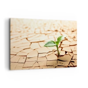 Obraz na płótnie - Zielona roślina wyrastająca z suchej, popękanej ziemi - 120x80cm - Nieposkromiona siła życia - Nowoczesna dekoracja ścienna do salonu, kuchni i sypialni ARTTOR