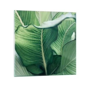 Obraz na szkle - Życie intensywnie zielone - 40x40 cm