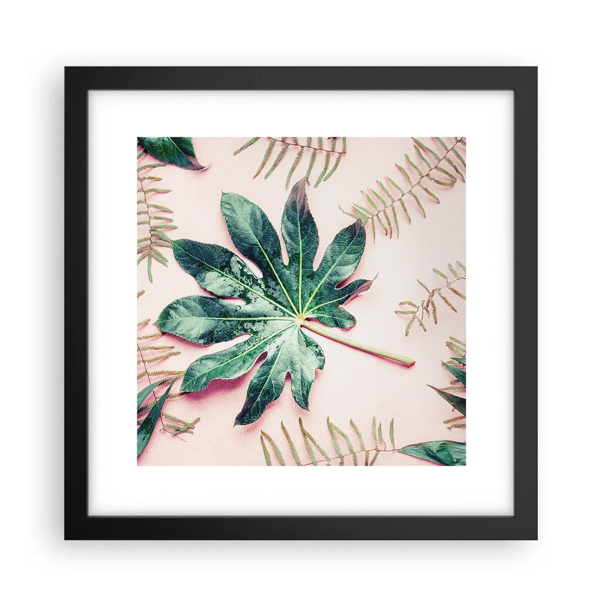Plakat w czarnej ramie - Studium zieleni na różowym tle - 30x30 cm