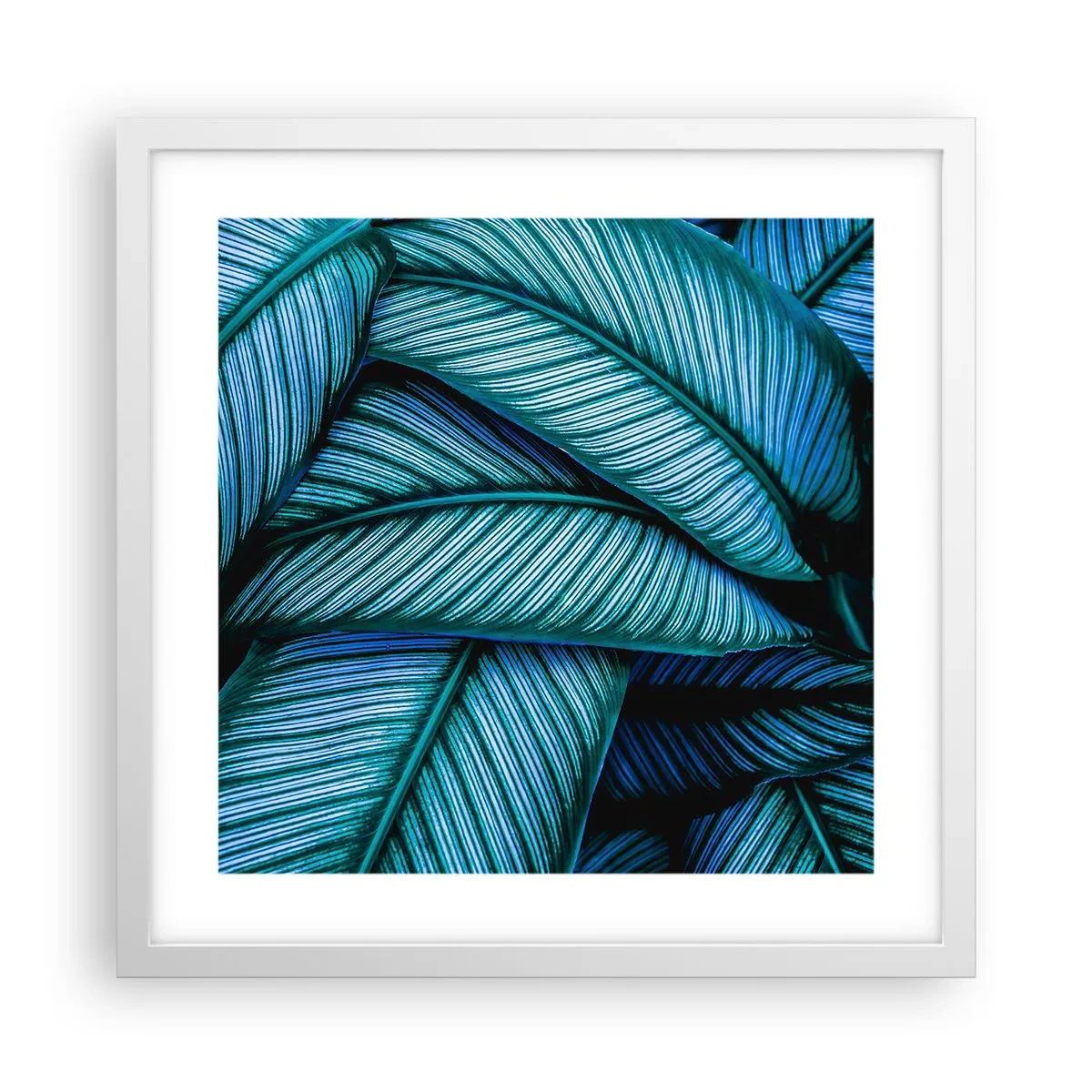 Plakat w białej ramie - Linie życia - 40x40 cm
