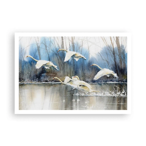 Plakat - Łabędzie w locie nad zamarzniętym jeziorem w zimowym krajobrazie - 100x70cm - Jak w baśni o dzikich łabędziach - Nowoczesna dekoracja ścienna do salonu i sypialni ARTTOR