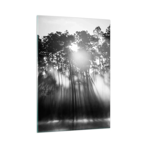 Obraz na szkle - Czarno-białe drzewa w lesie z promieniami słońca w mgiełce - 50x70cm - Niepowstrzymane słońce - Nowoczesna dekoracja ścienna do salonu, kuchni i sypialni ARTTOR