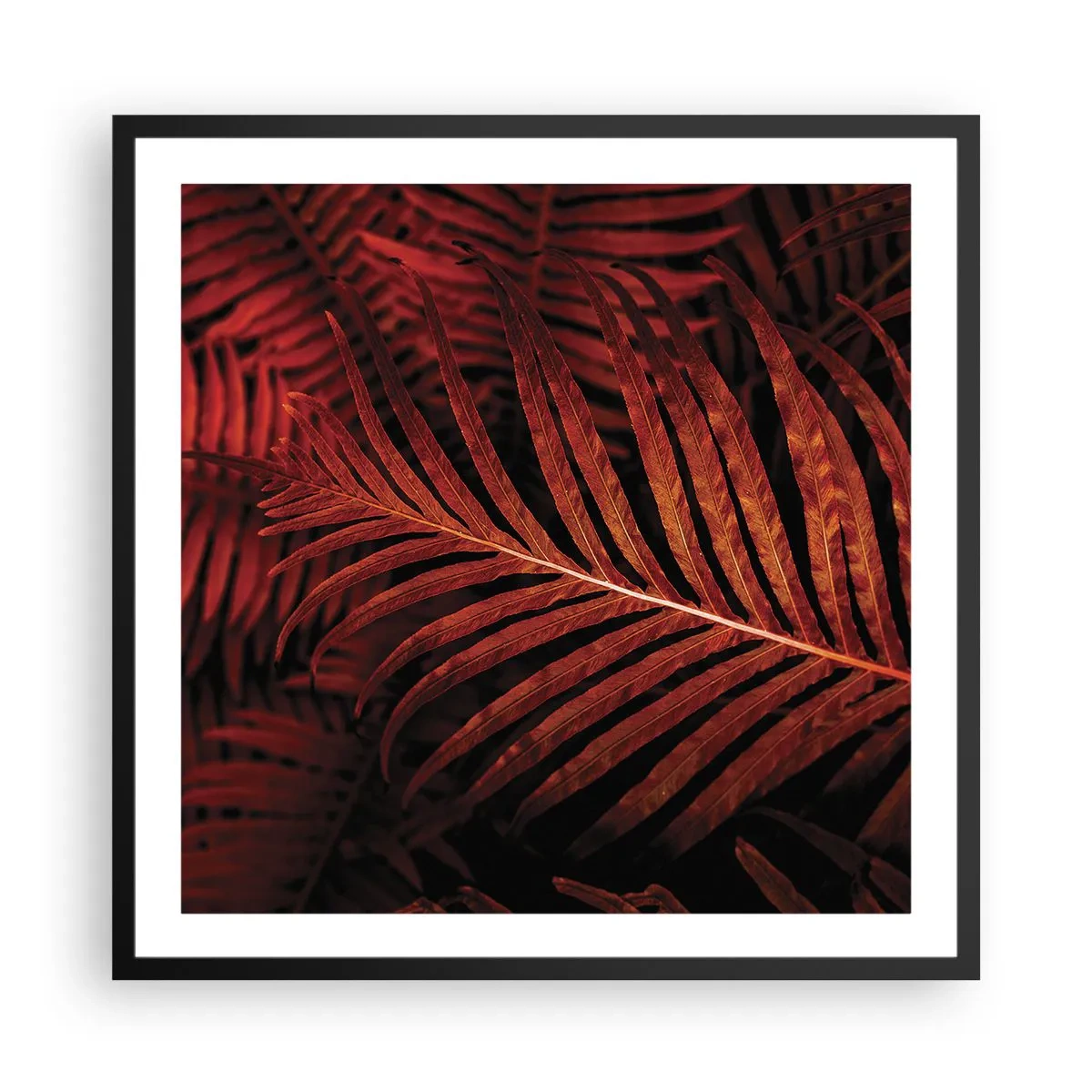 Plakat w czarnej ramie - Żar życia - 60x60 cm
