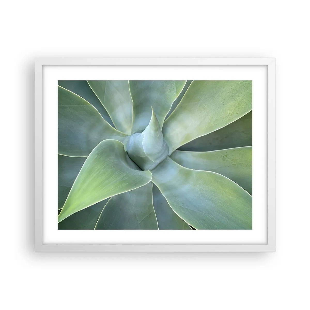 Plakat w białej ramie - Narodziny zieleni - 50x40 cm