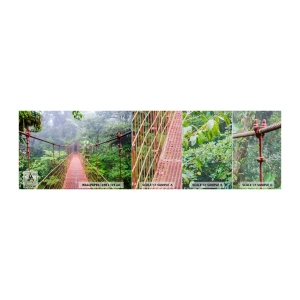 Fototapeta Próbka Premium Canvas - Zawieszony nad koronami - Krajobraz, Dżungla, Kostaryka - 100x30 cm