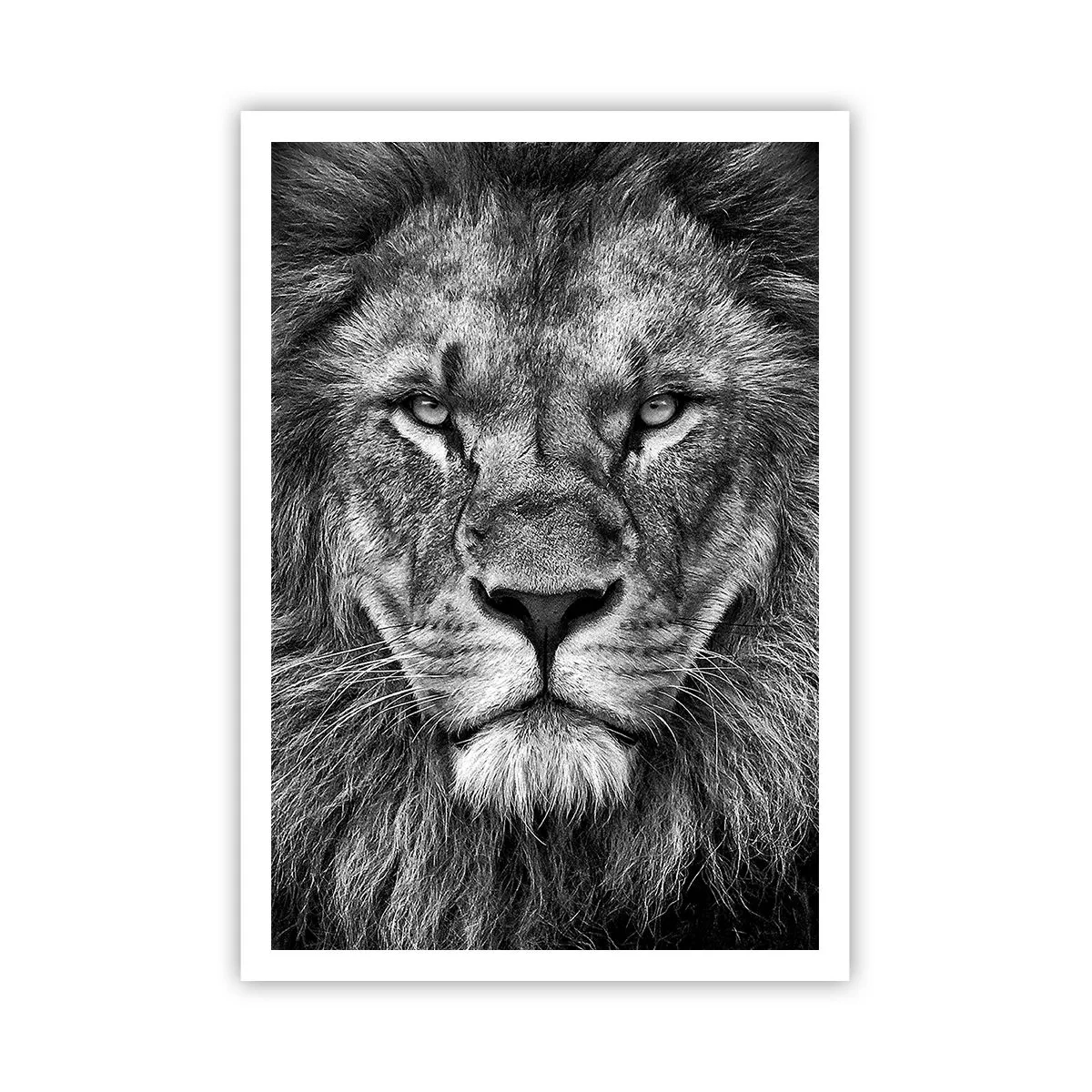 Plakat - W stroju koronacyjnym - 70x100 cm