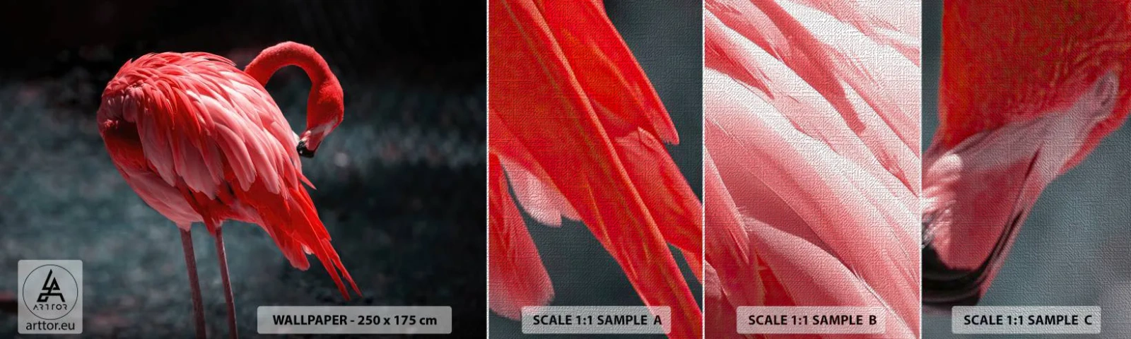 Fototapeta Próbka Premium Canvas - Karmazynowy poemat natury - Flaming, Ptak, Natura - 100x30 cm