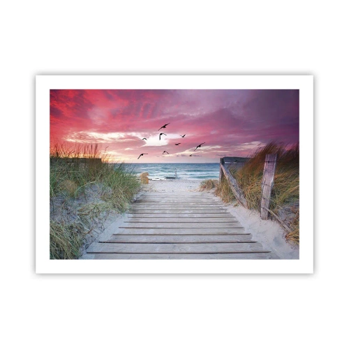 Plakat - Bałtycka impresja - 70x50 cm