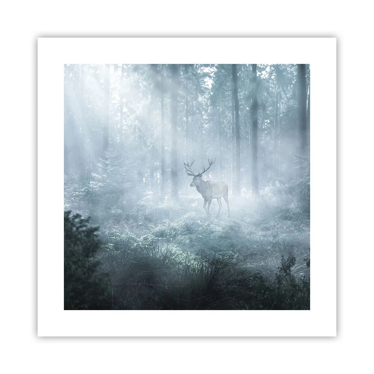 Plakat - Poranny obchód włości - 40x40 cm